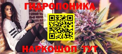 круглые Гусев
