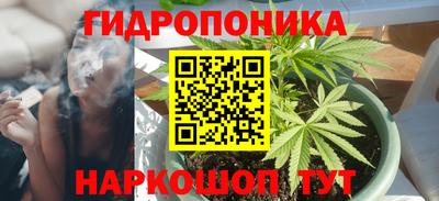 круглые Гусев