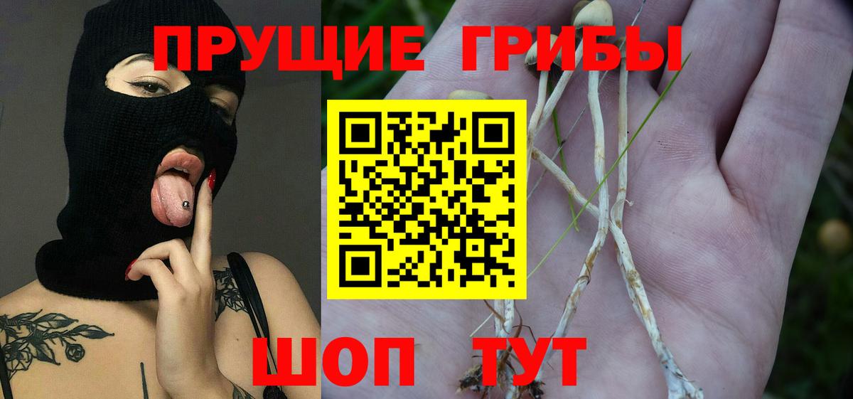 Галлюциногенные грибы GOLDEN TEACHER Менделеевск
