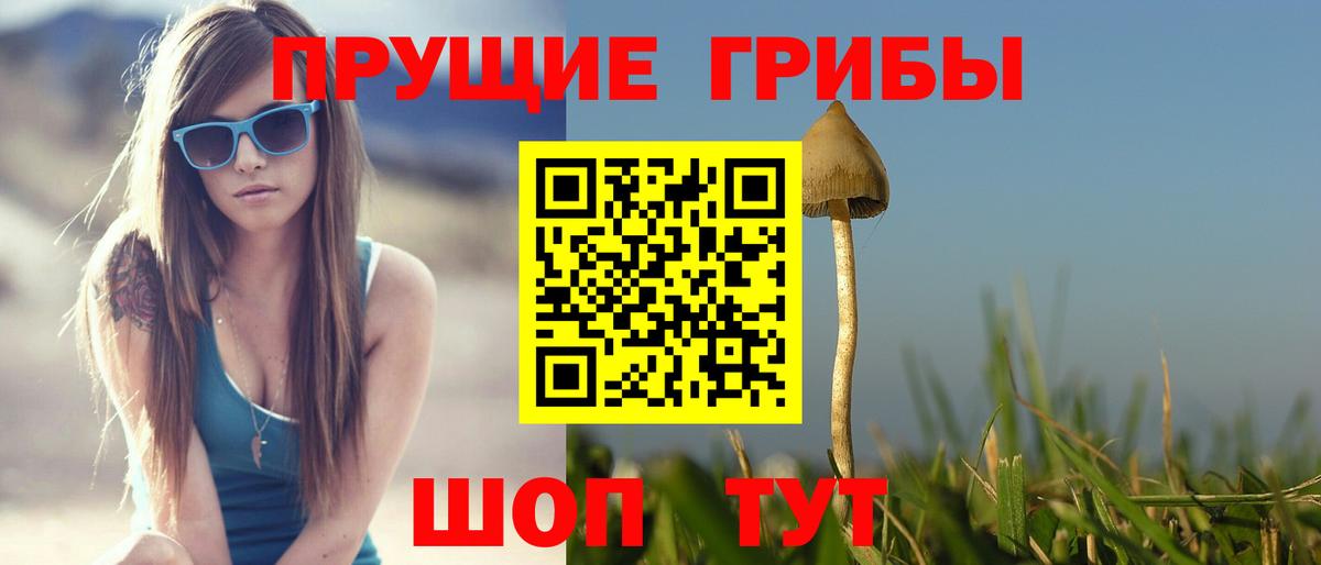 Псилоцибиновые грибы мицелий  Псилоцибиновые грибы ЛСД  Вход с VPN  Менделеевск 