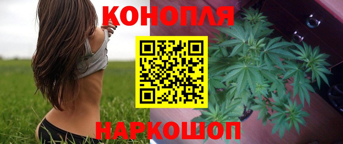 Бошки Шишки сатива Менделеевск
